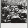 Sunday picknickers at Hazen's Notch, near Lowell, Vermont.