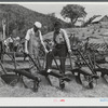 Farmers at the exhibit of old ploughs and farm implements at the World's Fair in Tunbridge, Vermont.