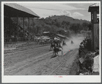 Sulky races at the World's Fair at Tunbridge, Vermont.