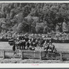 Weight-pulling contest for horses at the World's Fair in Tunbridge, Vermont.