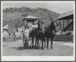 Vermont farmer with his team of horses which won the weight-pulling contest at the World's Fair. Tunbridge, Vermont.