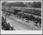 The parade at the World's Fair at Tunbridge, Vermont.