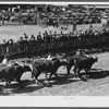 The parade at the World's Fair at Tunbridge, Vermont.