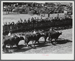 The parade at the World's Fair at Tunbridge, Vermont.