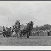 Weight-pulling contest for horses at the World's Fair. Tunbridge, Vermont.