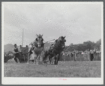 Weight-pulling contest for horses at the World's Fair. Tunbridge, Vermont.
