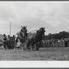 Weight-pulling contest for horses at the World's Fair. Tunbridge, Vermont.