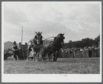 Weight-pulling contest for horses at the World's Fair. Tunbridge, Vermont.