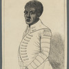Toussaint L'Ouverture, Governor of St. Domingo