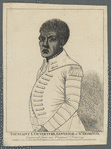 Toussaint L'Ouverture, Governor of St. Domingo
