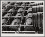 Christiansted, Saint Croix Island, Virgin Islands (vicinity). In the warehouse of the Virgin Islands Company's distillery.