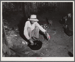 French village, a small settlement on Saint Thomas Island, Virgin Islands. French fisherman preparing a supper of fried fish at his home.
