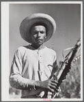 Guanica, Puerto Rico (vicinity). Farm laborer working in a sugar cane field.