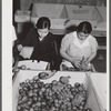 Yauco, Puerto Rico. Sorting and packing tomatoes at the Yauco cooperative tomato growers' association.
