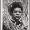 Guanica, Puerto Rico (vicinity). Farm laborer employed in cutting sugar cane at one dollar and fifty-one cents per day.