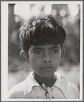 Yauco, Puerto Rico (vicinity). Son of a sugar cane worker.