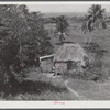 Guayanilla, Puerto Rico. Family of a sugar worker living in one of the company houses behind the mill. All these people live in the same houses.