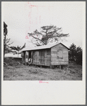 Santurce, Puerto Rico (vicinity). A house on the property which FSA (Farm Security Administration) is buying for a land and utility housing project.