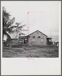 Santurce, Puerto Rico (vicinity). A house on the property which FSA (Farm Security Administration) is buying for a land and utility housing project