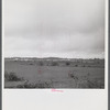 Santurce, Puerto Rico (vicinity). View of some of the land which FSA (Farm Security Administration) is buying for a land and utility housing project.