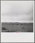 Santurce, Puerto Rico (vicinity). View of some of the land which FSA (Farm Security Administration) is buying for a land and utility housing project.