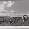 Manati (vicinity), Puerto Rico. Group of farmers watching distribution of land by the FSA (Farm Security Administration) supervisor for tenant purchase farms.