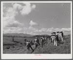 Manati (vicinity), Puerto Rico. Group of farmers watching distribution of land by the FSA (Farm Security Administration) supervisor for tenant purchase farms.