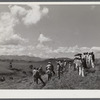 Manati (vicinity), Puerto Rico. Group of farmers watching distribution of land by the FSA (Farm Security Administration) supervisor for tenant purchase farms.