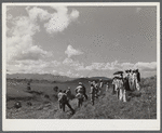 Manati (vicinity), Puerto Rico. Group of farmers watching distribution of land by the FSA (Farm Security Administration) supervisor for tenant purchase farms.
