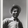 Barranquitas (vicinity), Puerto Rico. A farm laborer on a tobacco plantation.