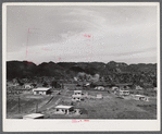 Manati, Puerto Rico. Federal housing project.