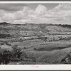 Manati, Puerto Rico (vicinity). Sugar fields.