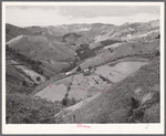 Corozal, Puerto Rico (vicinity). Hill farms in the country.