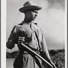 Barranquitas, Puerto Rico (vicinity). Son of a FSA (Farm Security Administration) borrower.