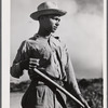 Barranquitas, Puerto Rico (vicinity). Son of a FSA (Farm Security Administration) borrower.