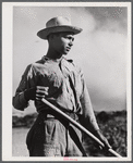 Barranquitas, Puerto Rico (vicinity). Son of a FSA (Farm Security Administration) borrower.