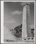 Christiansted, Saint Croix Island, Virgin Islands (vicinity). Ruins of an old sugar mill and plantation.