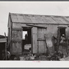 Christiansted, Saint Croix Island, Virgin Islands (vicinity). At one of the slum "villages".