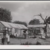 Christiansted, Saint Croix Island, Virgin Islands (vicinity). At one of the slum "villages".