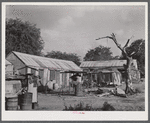 Christiansted, Saint Croix Island, Virgin Islands (vicinity). At one of the slum "villages".