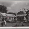 Christiansted, Saint Croix Island, Virgin Islands (vicinity). At one of the slum "villages".