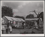 Christiansted, Saint Croix Island, Virgin Islands (vicinity). At one of the slum "villages".