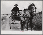 Christiansted, Saint Croix Island, Virgin Islands. FSA (Farm Security Administration) borrower going to town in his Sunday cart.
