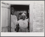 Saint Croix Island, Virgin Islands. FSA (Farm Security Administration) borrower living near village of La Vallee.