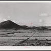 Saint Croix Island, Virgin Islands. Sugar cane fields on the northwest part of the island.