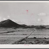 Saint Croix Island, Virgin Islands. Sugar cane fields on the northwest part of the island.