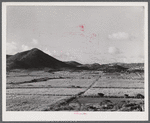 Saint Croix Island, Virgin Islands. Sugar cane fields on the northwest part of the island.