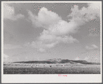 Bethlehem (vicinity), Saint Croix Island, Virgin Islands. Cultivating sugar cane on the Virgin Islands company land.
