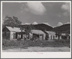 Frederiksted (vicinity), Saint Croix Island, Virgin Islands. One of the slum villages.