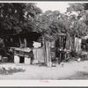 Christiansted (vicinity), Saint Croix Island, Virgin Islands. Chicken coops constructed with odds and ends by occupants of the leper colony.